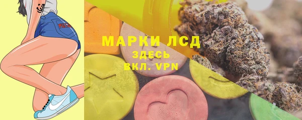 ECSTASY Ладушкин