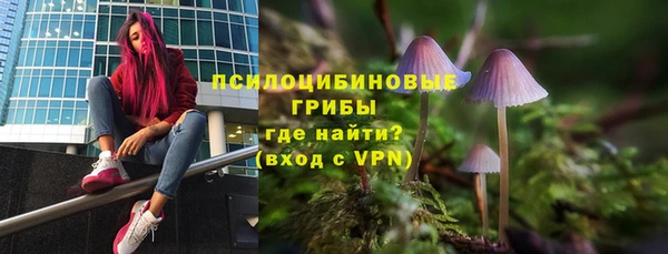 скорость Липки