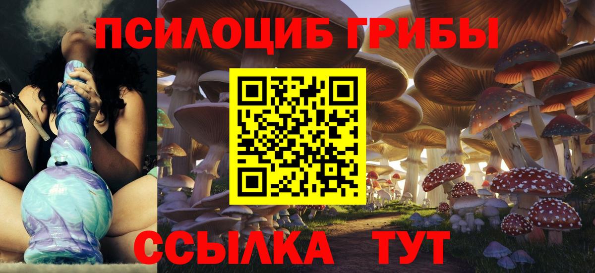 Галлюциногенные грибы ЛСД  Волжский  Псилоцибиновые грибы Psilocybine cubensis 