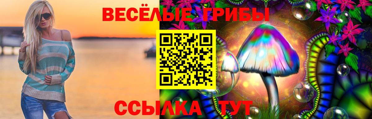 Псилоцибиновые грибы Psilocybine cubensis  Вход с VPN  Волжский 